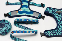 Reversible Neoprene Blue Boy Dog Leash with Shark Dog Print Featuring Dachshunds, Frenchies, Cavoodles, Corgis, Shiba Inus and more designed in Australia