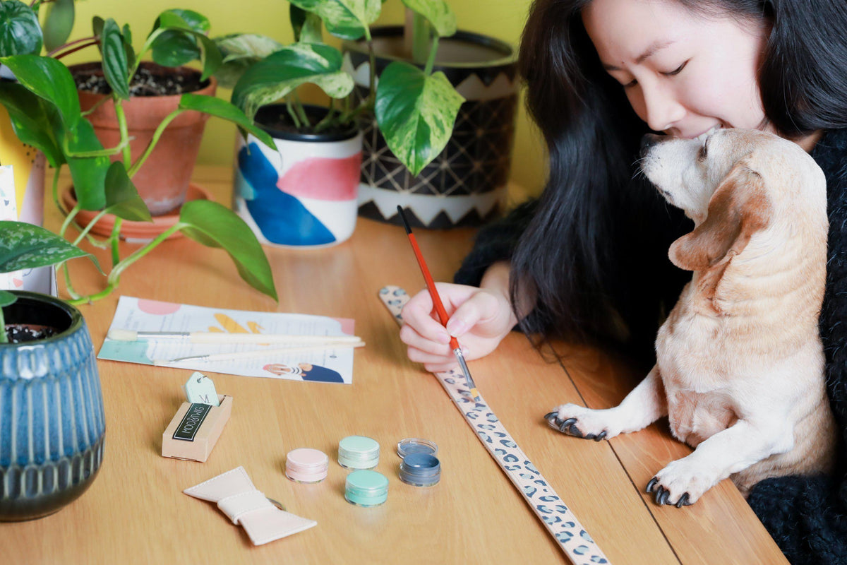 DIY Dog Collar Kit - Leather Dog Collar Kit - Isolation Activity Kit