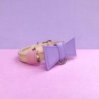 Lilac and Baby Pink Custom Leather Dog Collar with Bow Tie and Monogram - Bespoke Leather Dog Collar Made in Australia
