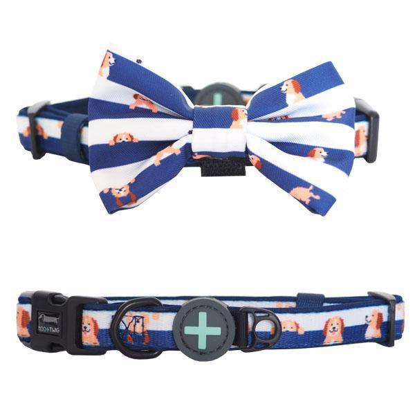 Blue and White Dog Collar with Bow Tie. Cavoodle Dog Wearing Bow Tie.