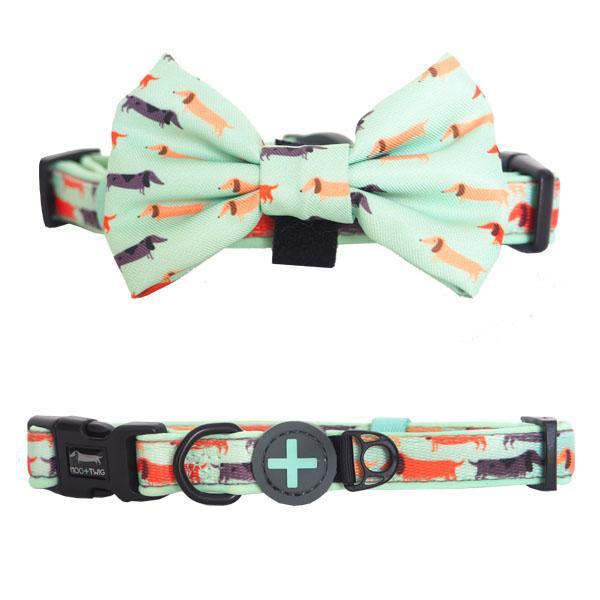 Dachshund Dog Collar with Bow Tie - Best Dog Collar for Dachshunds - Dachshund Puppy Wearing Dog Collar with Bow Tie