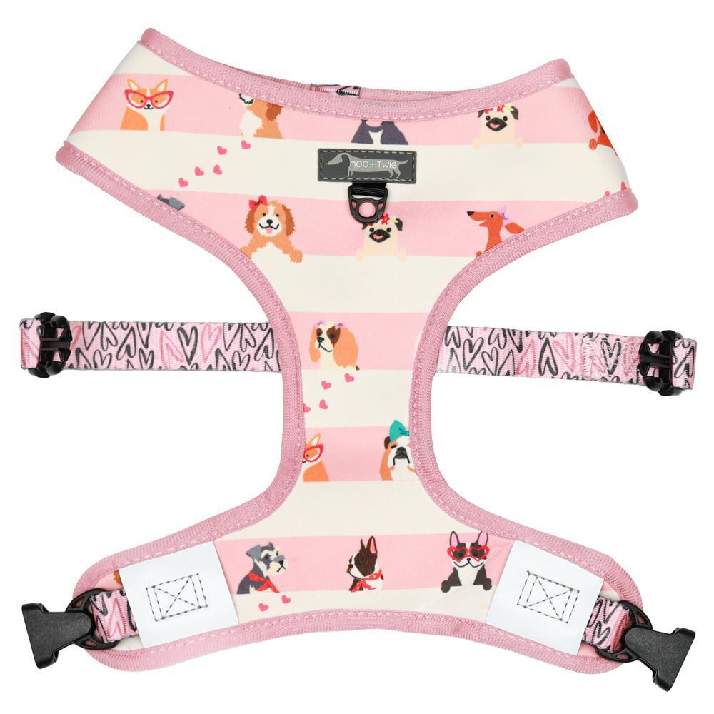 Pink Striped Dog Harness with Girl Dogs and Hearts All over. Cute Heart Dog Harness designed in Australia for puppies and small to medium sized dogs.