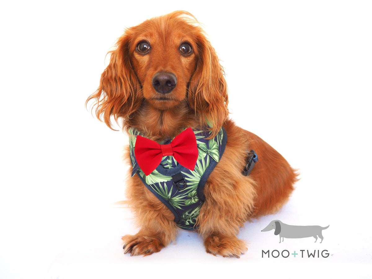 DOG SHIRT HARNESS - Borneo Bliss, Harnesses - MOO AND TWIG