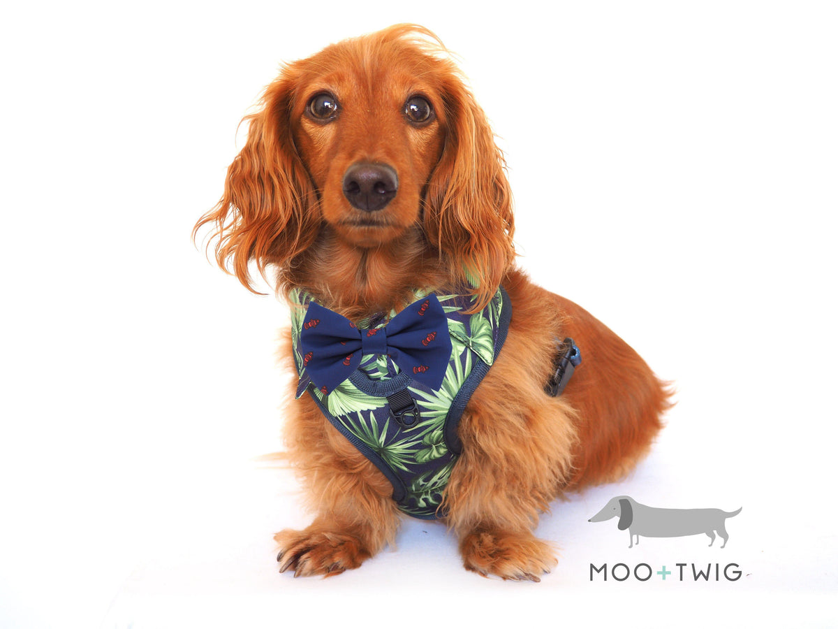 Dog Harness Shirt with tropical print and bow tie designed in Australia. Dog party shirt harness. Summer fashion dog harness. 
