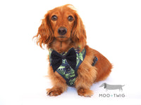 Dachshund Dog Wearing Dog Harness Shirt with tropical print and bow tie designed in Australia. Dog party shirt harness. Summer fashion dog harness. 