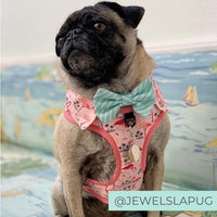 Pug wearing Pink Party shirt Dog Harness with flamingo print and bow tie. Dog party shirt outfit. Summer dog harness designed in Australia.