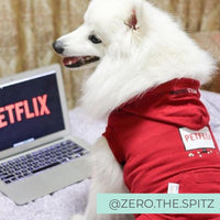 Dog wearing Red Netflix Original Dog Hoodie watching Netflix. Dog Watching Netlflix