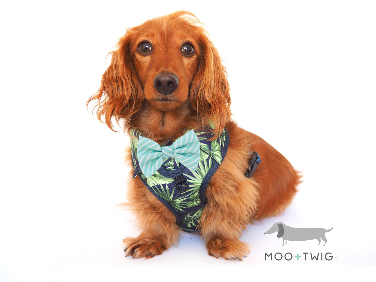 DOG SHIRT HARNESS MINT STRIPE BOW TIE (Bow Tie Only), Bow Tie - MOO AND TWIG