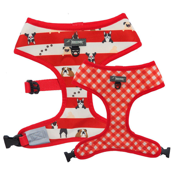 Reversible Red Dog Harness with Pugs, French Bulldogs, Bulldogs and Boston Terriers - Dog Wearing Red Dog Harness - Bulldog Wearing Red Dog Harness - Red Gingham Dog Harness