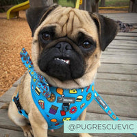 Pug wearing Blue dog harness with junk food and french fries designed in Australia
