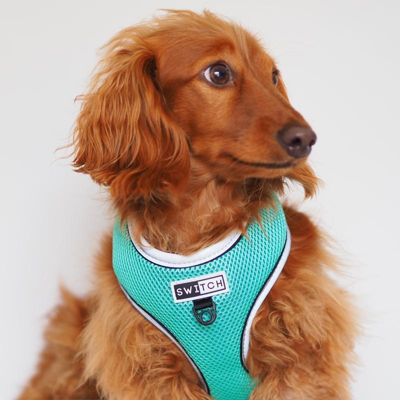 Reversible and Reflective Hi Vis Safety Comfort Dog Harness - Stylish and Comfortable Dog Harness with Safety Features