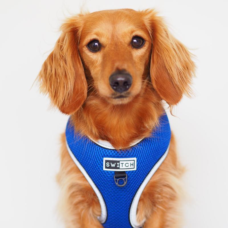 Reversible and Reflective Hi Vis Safety Comfort Dog Harness - Stylish and Comfortable Dog Harness with Safety Features