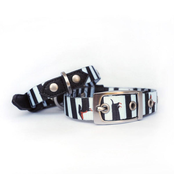 Dachshund Dog Collar, Dog Collar for Dachshunds