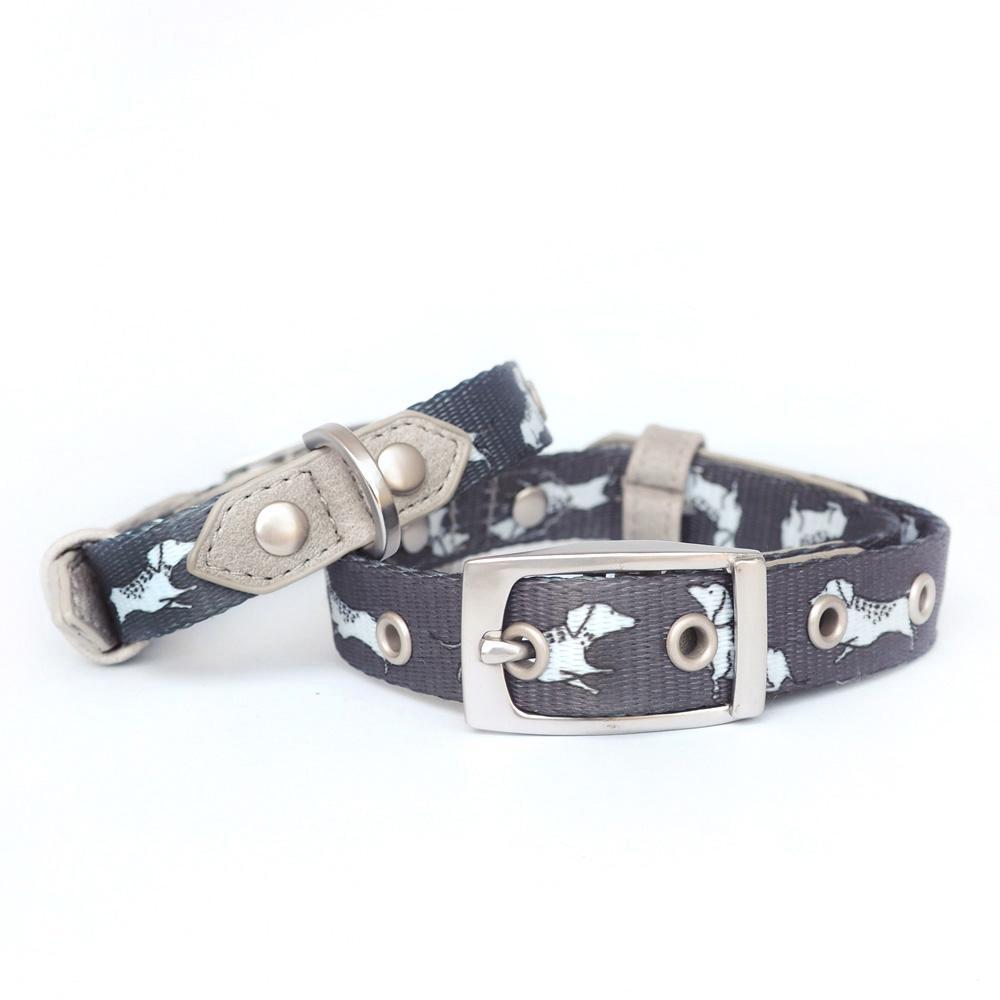 Dachshund Dog Collar, Dog Collar for Dachshunds